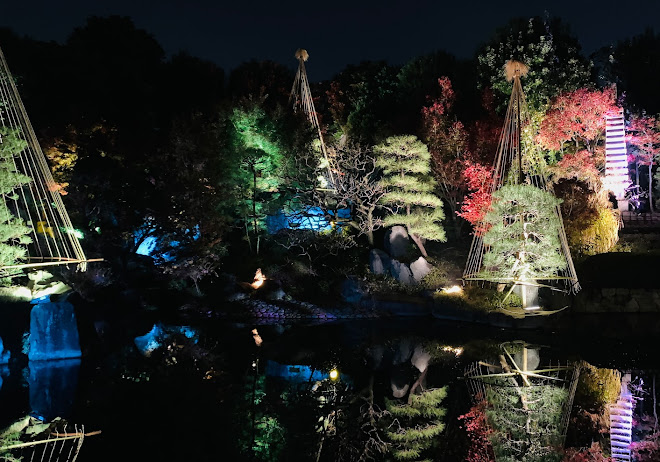 目白庭園の紅葉2